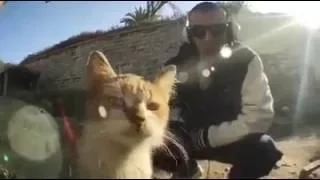فيديو كليب شاهين العبقري      كل شيت                                            دندنها