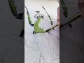 Iridescence in Watercolor