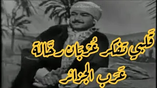 قلبي تفكر عربان رحالة للفنان البدوي خليفي أحمد 