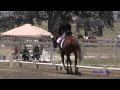 074D McKenna Goodson on Enchanted JR Beginner Novice Dressage Shepherd Ranch August 2015