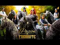 Download Lagu PASIÓN DE FOGARATÉ (24 HORAS ENCERRADOS EN UN RANCHO)