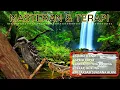 Download Lagu MASTERAN Platuk Sampit VS Belalang Emas JUGA TERAPI SUASANA ALAM UNTUK MURAI, KACER, CUCAK IJO dll