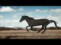 IKLAN VIVO X50 SERIES INDONESIA - \