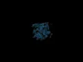 quantum spin foam 3d