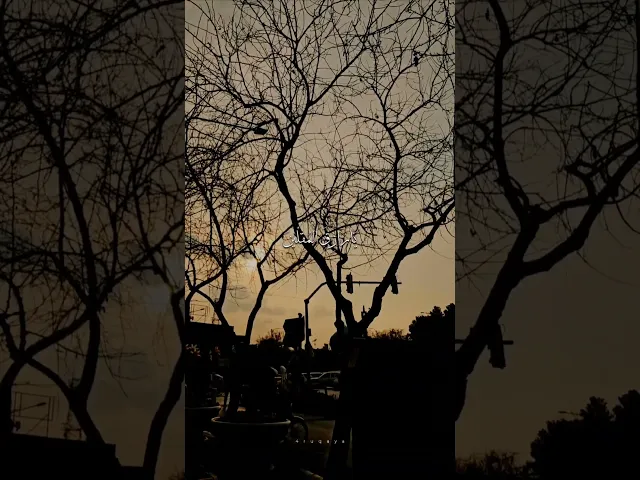 يا خير المسؤولين ويا خير المعطين يالله #الشيخ_شبر_معله