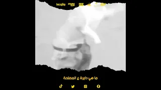 ما هي دايرة ع المصلحة 