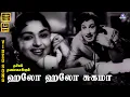 Download Lagu Hello Hello Sugama | HD Video Song 5.1 | MGR | Saroja Devi | TMS | P Susheela | Kannadasan | KVM
