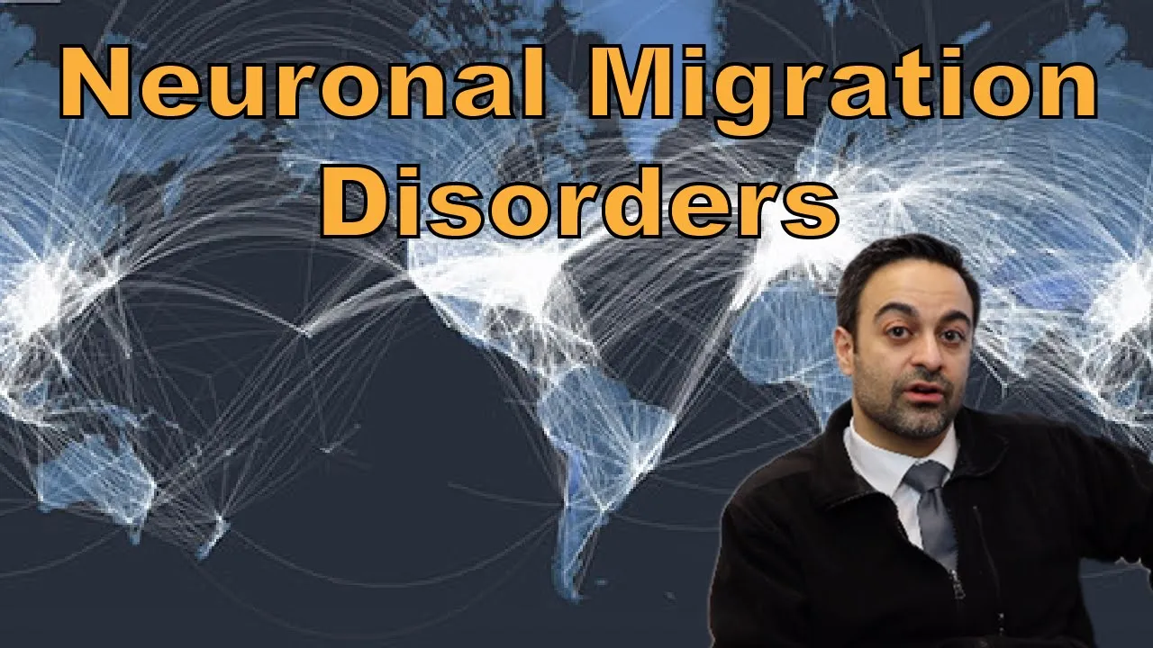 Neuronal Migration Disorders: Embryology and Pathology