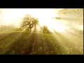 sun rays sunbeam trees silhouette background beaming light nature fantasy r4libwpr D