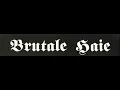 Download Lagu Brutale Haie - Going Down The Bar