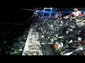 Download Lagu Gunung ikan..!! Hasilnya bikin geleng-geleng