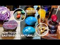 How to Dye Easter Eggs Naturally No Synthetic Dyes Just Veggies Fun
