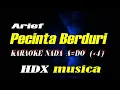 Download Lagu Arief - Pecinta Berduri - karaoke nada rendah