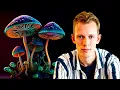 8 Things You MUST Do Before a Mushroom Trip Psilocybin Beginner s Guide