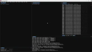 Aira Force Linked raw binary source level debugging