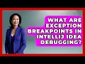 What Are Exception Breakpoints In IntelliJ IDEA Debugging - Learn To Troubleshoot