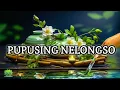 Download Lagu PUPUSING NELONGSO - Difarina indra ft fendik adella (official music)