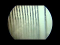 Download Lagu VINYL RECORDS - Review at microscope