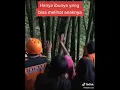 Download Lagu VIRAL!!, ANAKNYA HILANG SAAT MANDI DI SUNGAI KETIKA WAKTU MAGRIB, || HANYA IBUNYA YANG BISA LIHAT