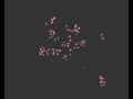 Boids 3d with python