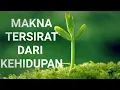 Download Lagu Makna tersirat dari segala yang  tidak kita sukai di dalam kehidupan ini