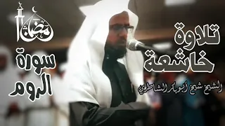 تلاوة لا توصف من جمالها تلاوة نادرة للشيخ شيخ أبو بكر الشاطري سورة الروم كاملة من صلاة التراويح 