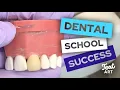 How to SUCCEED in your FIRST Year of Dental School Top 5 Tips