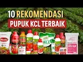 Lagu 10 Rekomendasi Pupuk KCL Terbaik | Pupuk KCL Terbaik