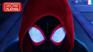 Spider Man Into The Spider Verse What S Up Danger 