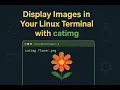 Display Images in Your Linux Terminal with catimg