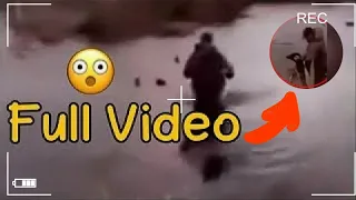 cole prevost dog cole prevost footage original