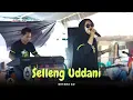 Download Lagu SELLENG UDDANI - Dhyana AO - Live Show Lamasewanua Wajo - AO Production electone bugis 2023
