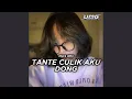 Lagu Tante Culik aku Dong