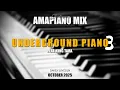 Lagu Amapiano Mix (New) | Underground Piano | King Tara | Soulistic TJ | Siya Mzizi | Dj Que SA | 2025