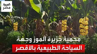 تضم مجموعة من الحيوانات محمية جزيرة الموز بالأقصر كونتها الطبيعة منذ عشرات السنين وتجذب السياح  تضم مجموعة من الحيوانات محمية جزيرة الموز بالأقصر كونتها الطبيعة منذ عشرات السنين وتجذب السياح