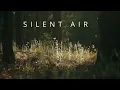 Download Lagu Silent Air - Minimal Ambient Calm Soundtrack | No Copyright Cinematic Music | Free To Use Music