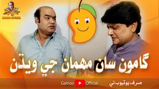 gamoo san mehman ji wedhan asif pahore gamoo sohrab soomro