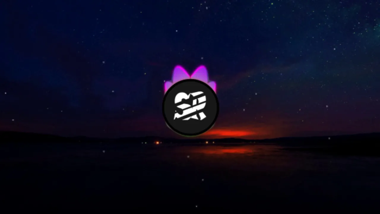 Shawn Mendes, Camila Cabello - Señorita( Dj Skyrock remix)