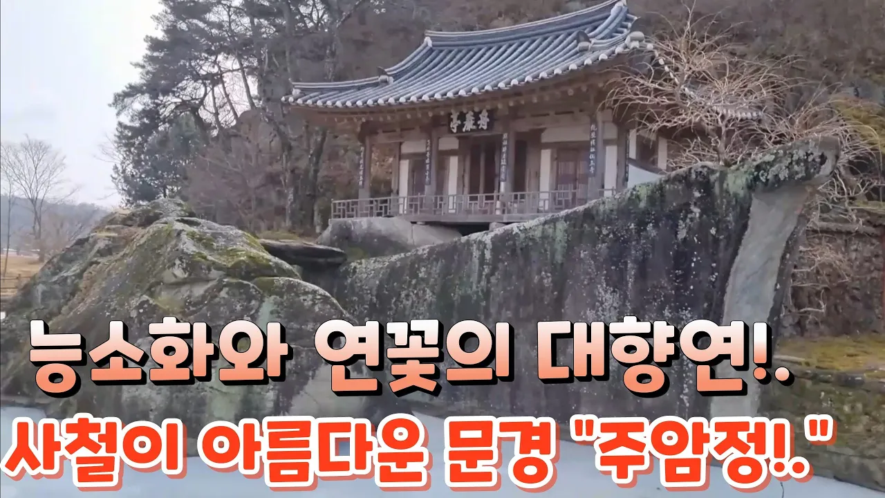 #능소화와 연꽃의 대향연!. 사철 아름다운 문경"주암정" 썸네일