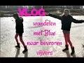 Download Lagu VLOG wandelen met Blue naar bevroren vijvers