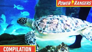 save our shores happy earth day beast moprhers power rangers kids action for kids