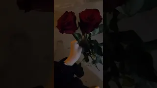 حالات واتس اب عيني لغيرك ما تشوق يا اجمل غرامي 