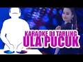 Download Lagu KARAOKE ULA PUCUK VERSI DJ