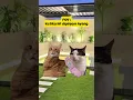 Download Lagu Panik ga? 😭 #cat #catmemes #kucing #kucinglucu