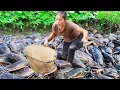 Download Lagu How to Catch Carp by Hand and Sell at the Market – Cooking Giant Fish with Tofu for Delicious Meal
