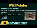 Understanding the Wild Pointers