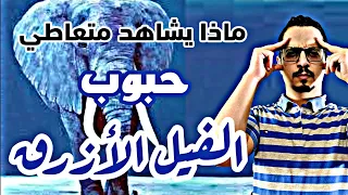 عقار الفيل الأزرق و تجربة ما قبل الموت 