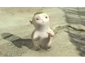 Video di IL REGNO DI WUBA - clip "Wuba!" 