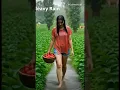 Download Lagu Suara Hujan deras dan Badai Petir Suara Hujan untuk relaksasi Tidur nyenyak