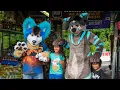 Furry Google Map Adventures with Hund The Hound